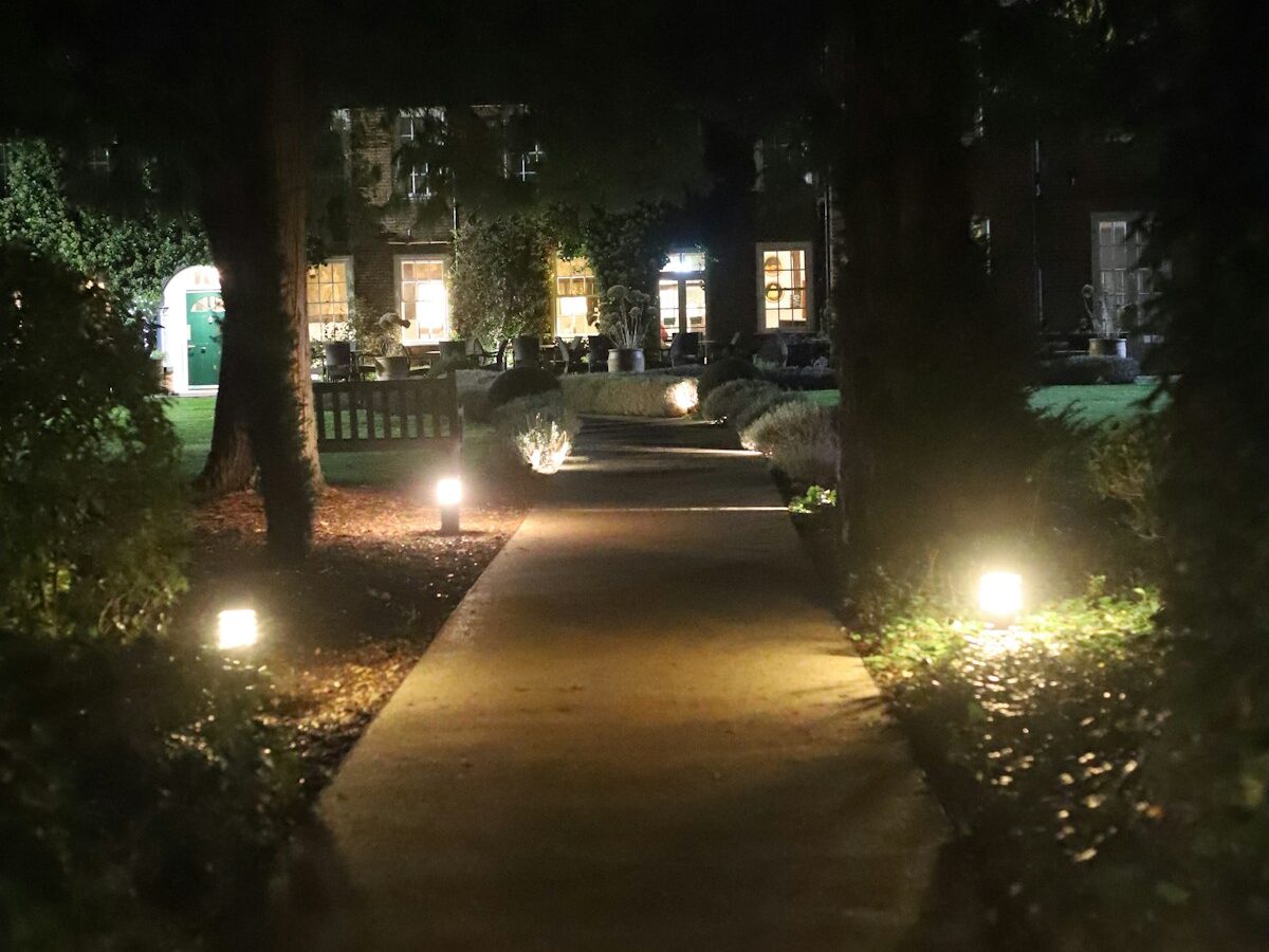 Pathway illuminated by lights at night